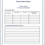 Daily Project Status Report Template