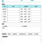 Daycare Infant Daily Report Template