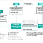 Dsmb Report Template