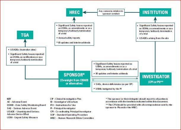 Dsmb Report Template