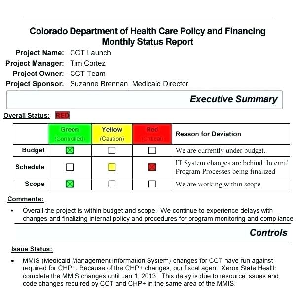 Executive Summary Project Status Report Template