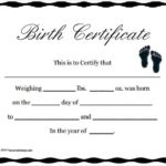 Fake Birth Certificate Template