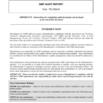 Gmp Audit Report Template