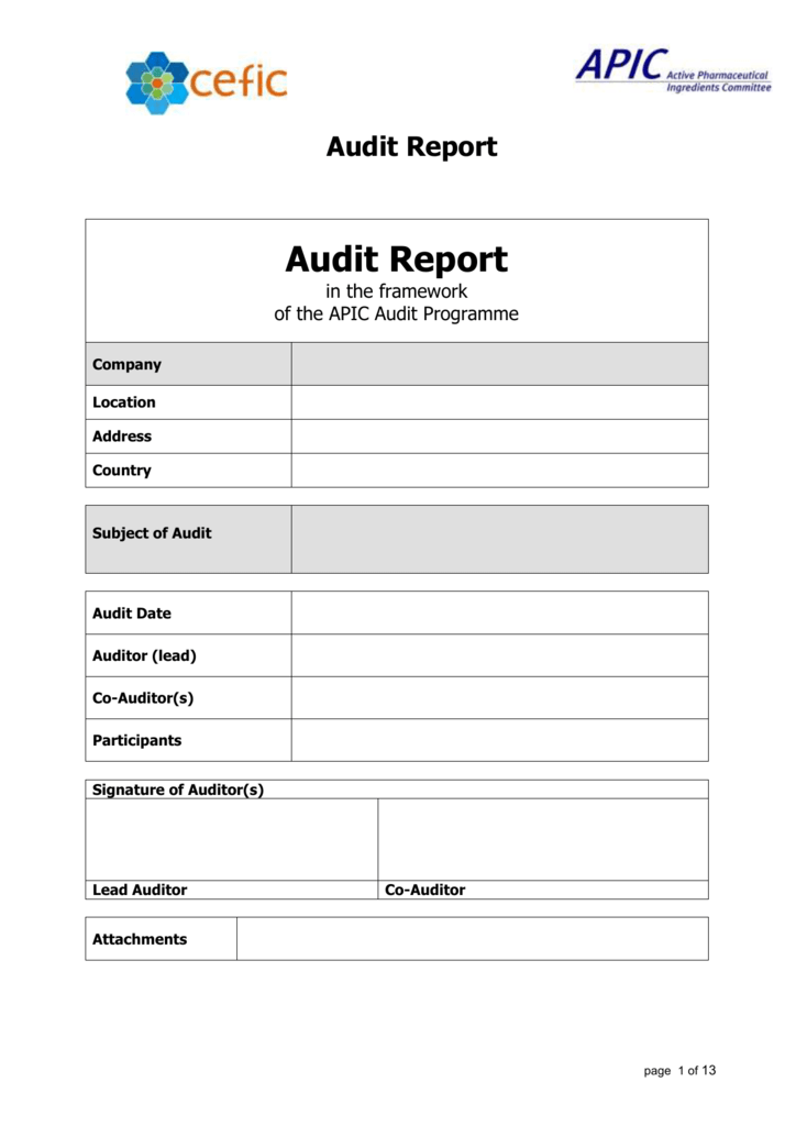 Gmp Audit Report Template