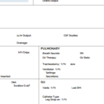 Icu Report Template