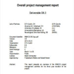 It Management Report Template