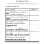 It Management Report Template