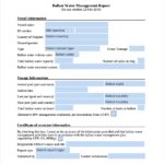 It Management Report Template