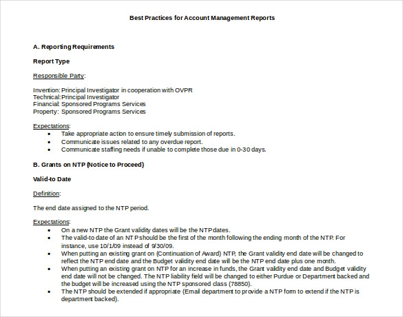 It Management Report Template