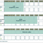 Liquidity Report Template