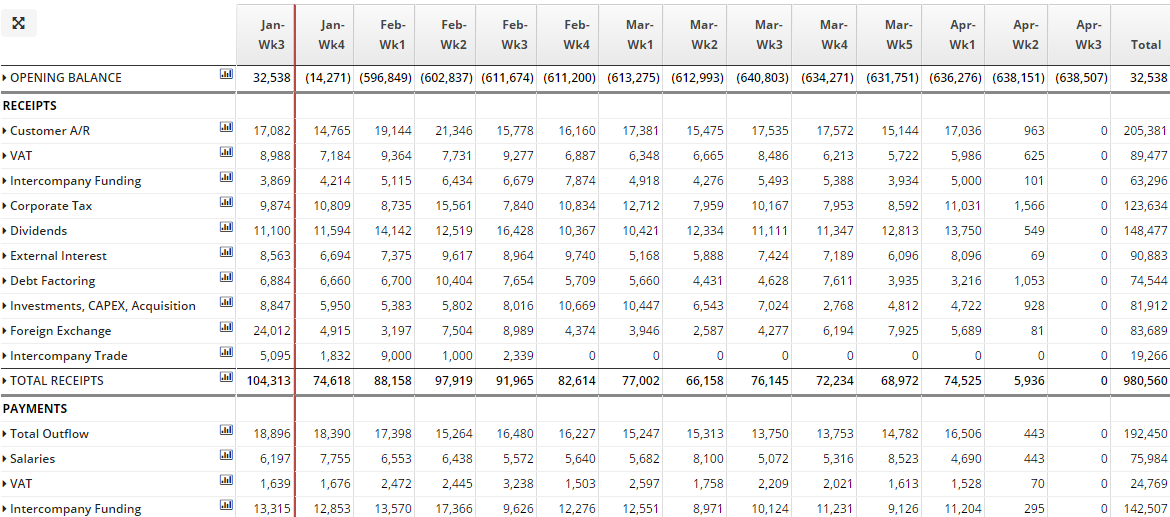 Liquidity Report Template