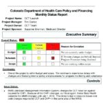 Monthly Status Report Template Project Management