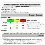 Monthly Status Report Template Project Management