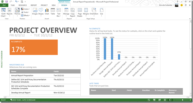 Ms Project 2013 Report Templates