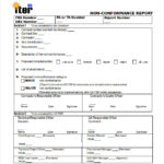 Ncr Report Template