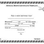 Official Birth Certificate Template