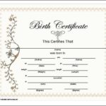 Official Birth Certificate Template