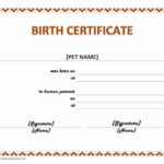 Official Birth Certificate Template