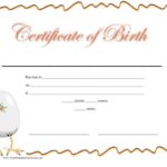 Official Birth Certificate Template