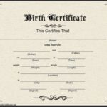 Official Birth Certificate Template