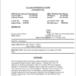 Private Investigator Surveillance Report Template