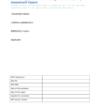 Rapporteur Report Template