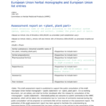 Rapporteur Report Template