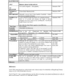 Rapporteur Report Template