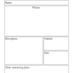 Report Writing Template Ks1