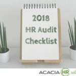 Sample Hr Audit Report Template