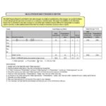 Section 37 Report Template