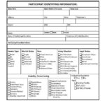 Serious Incident Report Template