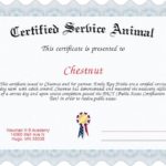 Service Dog Certificate Template