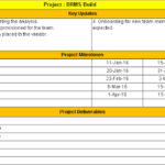 Simple Project Report Template