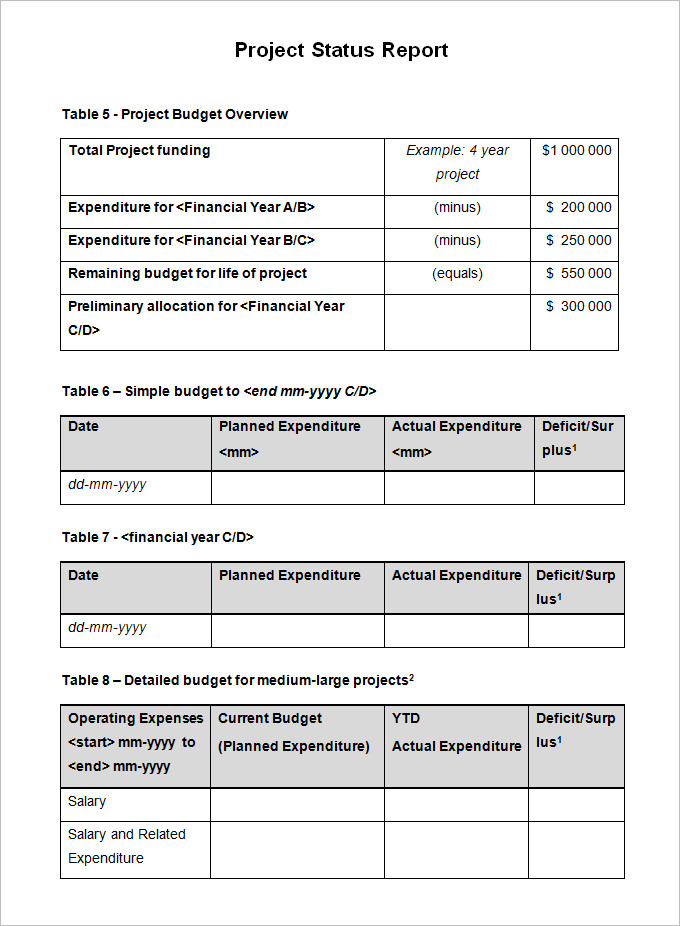 Simple Project Report Template