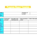 Software Development Status Report Template