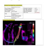 Thermal Imaging Report Template