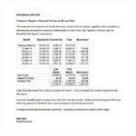 Treasurer Report Template Non Profit