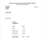 Treasurer Report Template Non Profit