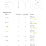 Website Evaluation Report Template