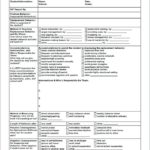 Behaviour Report Template