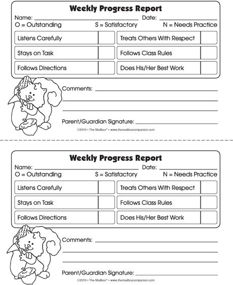 Behaviour Report Template