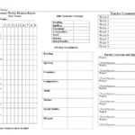 Behaviour Report Template