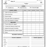 Behaviour Report Template