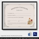 Child Adoption Certificate Template