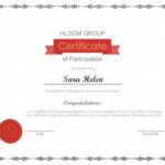 Conference Participation Certificate Template