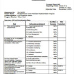 Construction Status Report Template