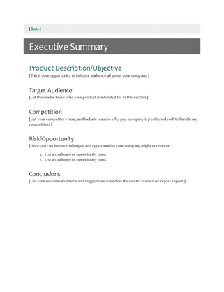 Data Center Audit Report Template