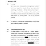 Expert Witness Report Template