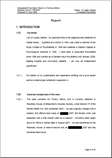 Expert Witness Report Template 9 PROFESSIONAL TEMPLATES 